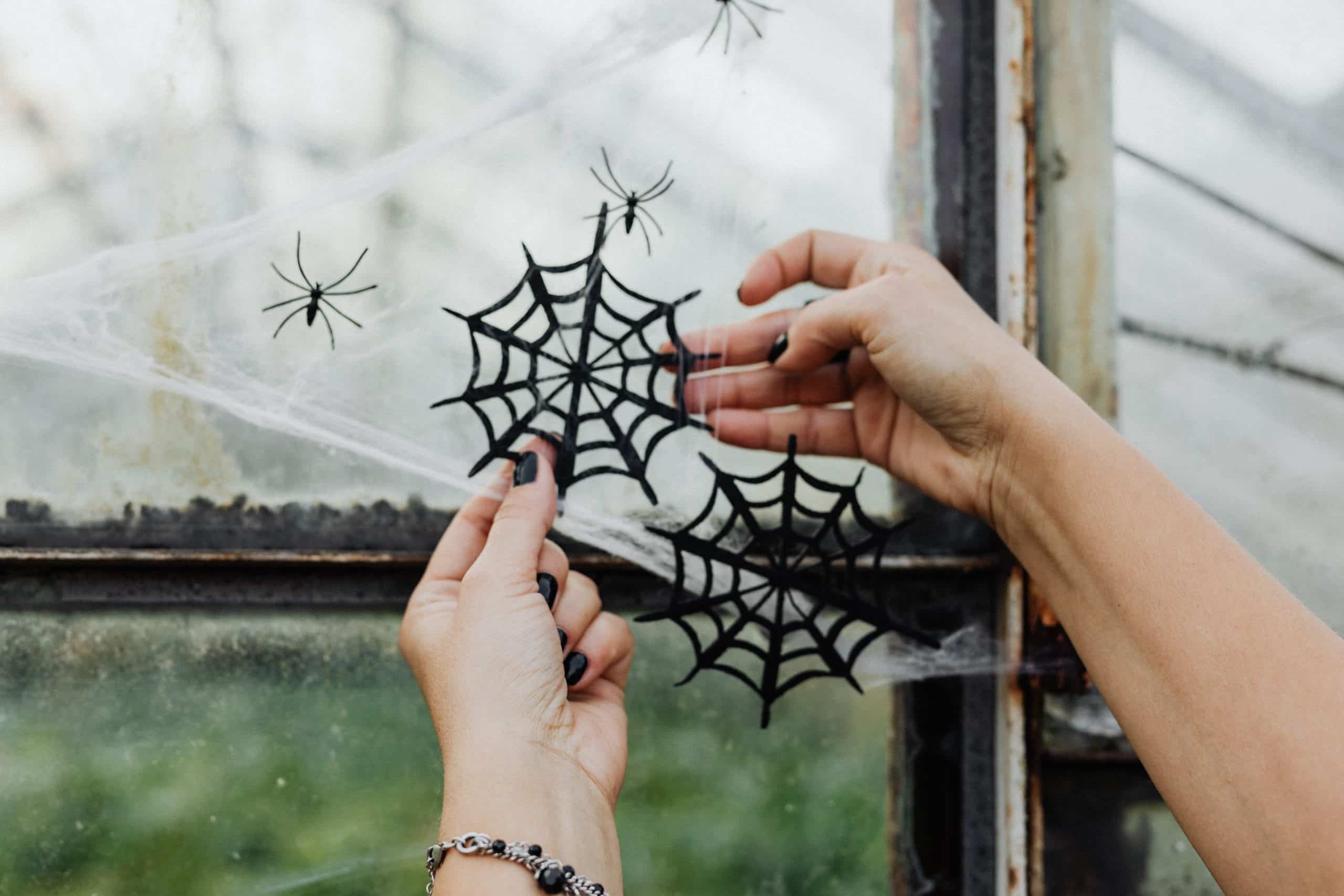How To Decorate Your Windows For The Holidays Without Damaging Them Ogden Utah Windows