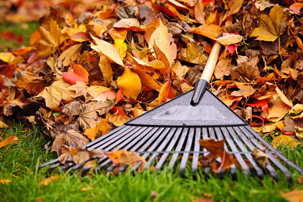 fall maintenance checklist