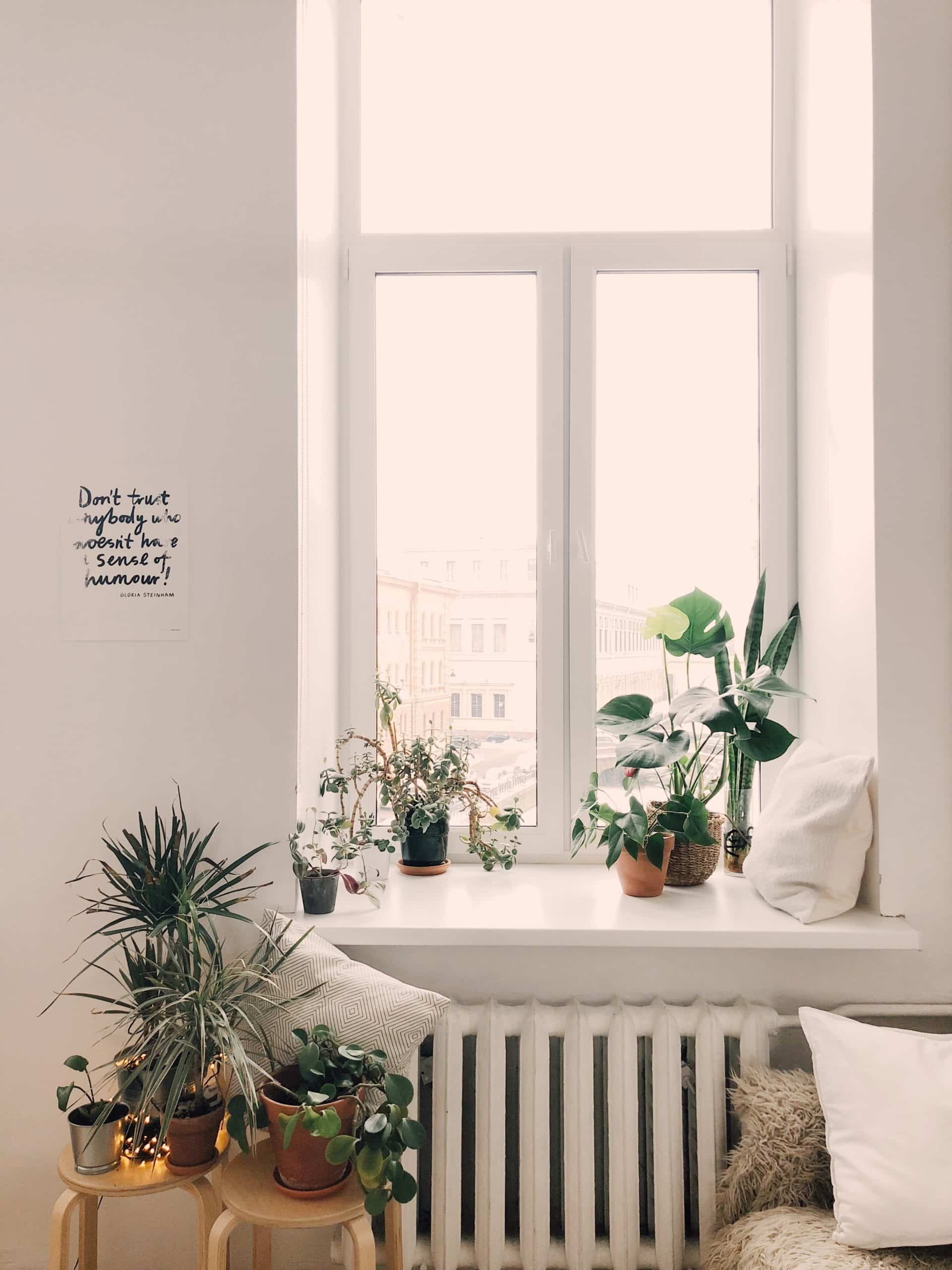 Benefits Of Natural Lighting Ogden Utah Windows